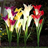 Solar Garden Stake Lights Outdoor, MayBest Solar Powered Lights, Lily Flower Lights, Multi-Color Changing LED Solar Decorative Lights for Garden Patio Yard Lawn Path (Purple+Red+White+Yellow) Review