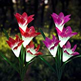 LANMU Solar Garden Stake Lights,Outdoor Solar Powered Lights with 8 Lily Flowers,LED Solar Decorative Lights for Garden Patio Backyard Wedding Christmas (Purple and Red,Cold White,Pack of 2)