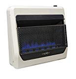 Cheap Lost River PCIT30BF Gas heateer, Medium, White