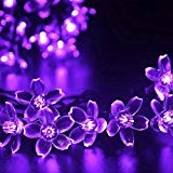 Cheap Okcolorfal Garden Decoration Lights String Solar Powered LED Lights with Solar Panel, 7m 50 Flower Lights Fairy Lighting for Christmas Trees Party Wedding Holiday (Purple)
