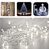 Fairy Twinkle String Lights, REDGO 33 Feet 10M 100 LEDs with Multi Flash Modes Controller & Tail Plug Connectable for Chirstmas Tree, Birthday Party, Garden, Patio and Kid’s Bedroom Club Bar, White