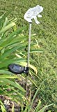 Solar Frog Color Change Light E2179 (set of 2) For Sale