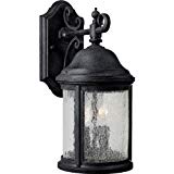Progress Lighting P5649-31 2-Light Cast Aluminum Wall Lantern with Water-Seeded Glass, Textured Black Review