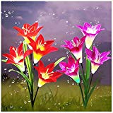 Outdoor Solar Garden Stake Lights,Upgraded LED Solar Powered Light, Multi-Color Auto-Changing 8 Bigger Lily Flower Decorative Lights for Garden,Patio,Backyard(2 Pack,Purple&Red) Outdoor Solar Garden Stake Lights,Upgraded LED Solar Powered Light, Multi-Color Auto-Changing 8 Bigger Lily Flower Decorative Lights for Garden,Patio,Backyard(2 Pack,Purple&Red)