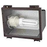 Sea Gull Lighting 86060BL-10 Wall Packs – One Light Outdoor Flood, Bronze Finish with Clear Glass