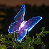 Ecoolbuy Garden Lawn Solar LED Path Light Bird Butterfly Dragonfly (Purple) Review