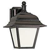 Sea Gull Lighting 89316PBLE-12 Bancroft Single Light Wall Lantern from the Bancroft Collection, Black Review