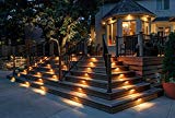 X-Lights Stainless Steel Light for Retainer / Paver Wall/ 13″ ,2.5W, Led , Paver , cap, Waterproof , AC/DC (Silver) X-Lights Stainless Steel Light for Retainer / Paver Wall/ 13″ ,2.5W, Led , Paver , cap, Waterproof , AC/DC (Silver)