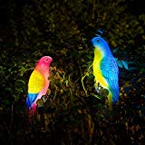 FC-Fancier Solar Outdoor Decoration Lights- Parrot Light-Colored Decoration Lights for Garden,Patio Tree Decoration Landscape Lighting, 2 Pack For Sale