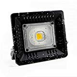 Cob LED Flood Light Bulbs Outdoor Indoor- WY New Waterproof IP67 50W 6000K 250W Equivalent Daylight White 5000lm Super Bright LED Floodlight for Garden Parking Wall Ceiling Lighting 50000h Lifespan Review Cob LED Flood Light Bulbs Outdoor Indoor- WY New Waterproof IP67 50W 6000K 250W Equivalent Daylight White 5000lm Super Bright LED Floodlight for Garden Parking Wall Ceiling Lighting 50000h Lifespan Review