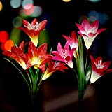 COOL LIFE Outdoor Solar Garden Stake Lights -Multi-Color Changing LED Solar Stake Lights for Garden, Patio, Backyard Review