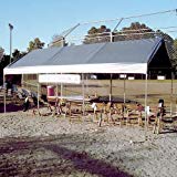 10 Foot x 20 Foot Universal Canopy Silver Top For Sale