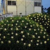 50 LED Solar Powered Fairy String Lights Warm White Peach Blossom Outdoor Garden, Lawn, Patio, Christmas Trees, Weddings, Parties By Uping
