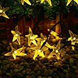 Nascco 20 Led Starfish Warm White String Lights Solar Christmas Lights Ambiance Lighting Outdoor Patio Garden Lights Summer Beach Camping string Lights Review