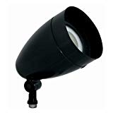 Cheap RAB Lighting HBLED13B  LED Flood Light 13W Cool Led Bullet with Hood and Lens, Black