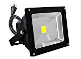 Cheap Trendmart® Led Flood Light 10w Cool White Outdoor Lighting Garden Light Come with Us Standard 3 Pin Plug