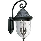 Progress Lighting P5829-31 2-Light Chain Hung Lantern with Optic Hammered Clear Glass, Textured Black For Sale