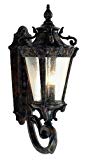 Cheap Trans Globe Lighting 4840 PA Outdoor Heritage 28.5″ Wall Lantern, Patina Cheap Trans Globe Lighting 4840 PA Outdoor Heritage 28.5″ Wall Lantern, Patina