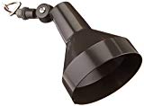 RAB Lighting H101A 150-watt Max. Par38 Landscape Lighting Flood Fixture 120-volt, Bronze For Sale