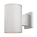 Cylinder Outdoor Wall Down Light in Brushed Aluminum Finish