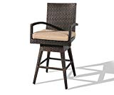 Ulax furniture Outdoor Patio Furniture All-Weather Brown Wicker Swivel Bar Stool with Cushion Review