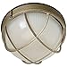 Philips Forecast F9039665NV Oceanview outdoor wall lantern, Silver Rust