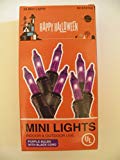 Momentum Happy Halloween Indoor/Outdoor Mini Lights Bulbs, Black Cord, Purple Review