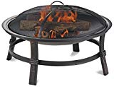 Endless Summer WAD15121MT Brushed Copper Wood Burning Outdoor Firebowl