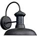 Progress Lighting P5722-71 1-Light Wall Lantern, Gilded Iron