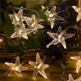 Nascco 20 LED Starfish Battery Operated Warm White String Lights for Beach Patio Garden Lawn For Sale