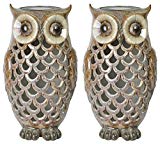 2-Pack – Moonrays 91581 Solar Powered Brown Owl with White LED Light Review